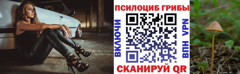 shop как зайти  Камень-на-Оби  МЕГА tor  Галлюциногенные грибы ЛСД  цены  